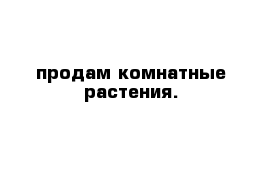 продам комнатные растения.